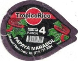 Tropico Rico plu 4395 4 papaya maradol manuel frlores lopez