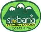 slobana premium bananas costa rica