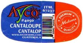 ayco #4050 cantaloupe cantalop guatemala itm 67237 premium melons quality