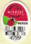 Windset Farms mexico 4799