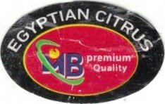 MB egyptian citrus premium quality or