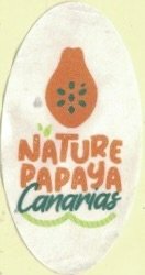 Nature papaya canarias