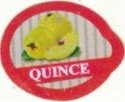 Quince