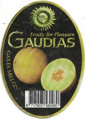 Gaudias fruits for pleasure galia melon 8717903560280