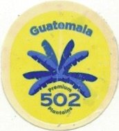 502 guatemala premium plantains