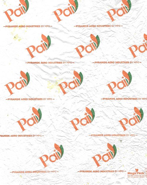 pai pyramids agro industries by mpg