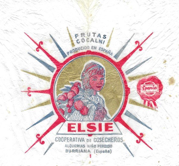 elsie frutas cocalni producido en espana spania cooperativa de cosecheros burriana