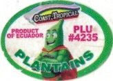 Coast Tropical product of ecuador plu #4235 plantains