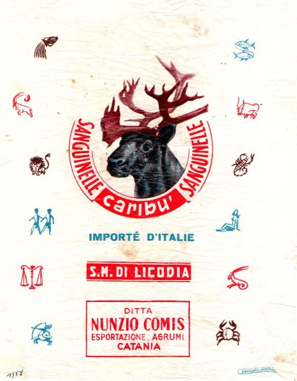 Sanguinelle caribu s.m. di licodia ditta nunzio comis esportazione agrumi catania importe d italie
