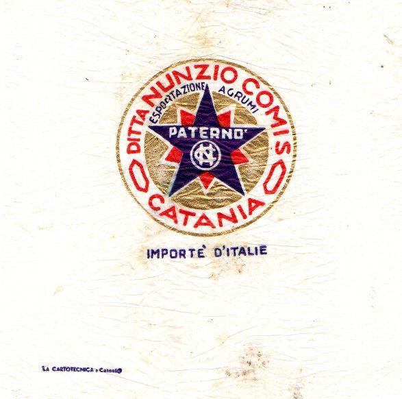 Paterno ditta nunzio comis catania esportazione agrumi importe d italie