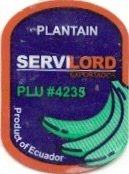 Servilord Exportador plantain plu #4235 product of ecuador