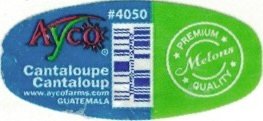 Ayco #4050 premium melon quality cantaloupe cantaloup www.aycofarms.com guatemala