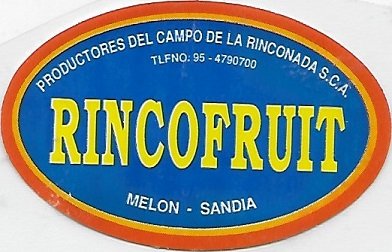Rincofruit productores del campo de la  rinconada sca melon sandia