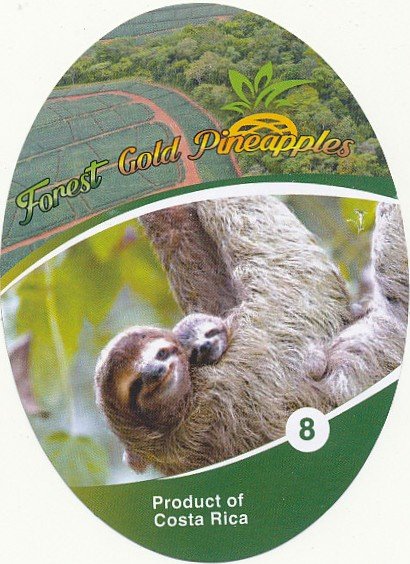 forest gold pineapples 8 product of costa rica ppc 7443031120096