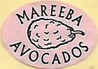 Mareeba avocados
