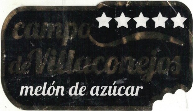 Campo de Villaconejos melon de azucar