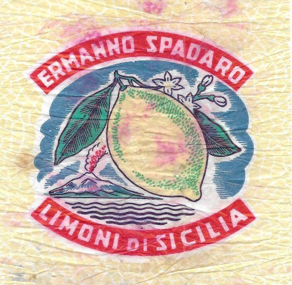 ermanno spadaro limoni di sicilia