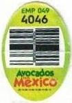 avocados mexico emp 049 4046