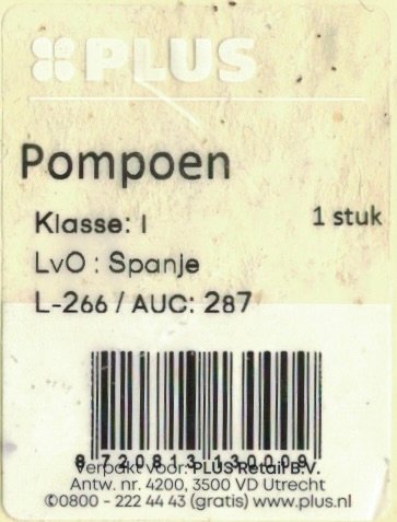 Plus pompoen klasse: 1 lvo: spanje