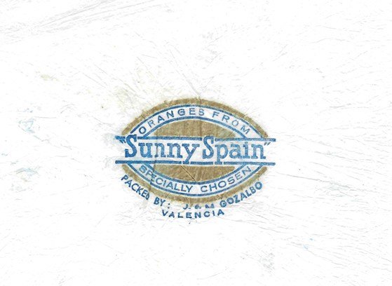 sunny spain oranges from specially chosen packed by j&m gozalbovalencia