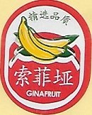 Ginafruit