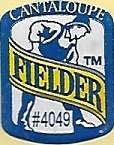 Fielder cantaloupe #4049