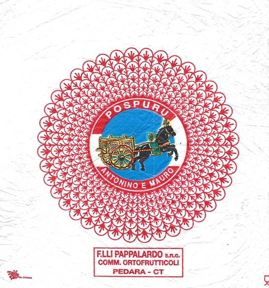 pospuru antonino e mauro f.lli pappalardo snc comm. ortofrutticoli pedara ct