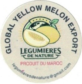 Global Yellow Melon Export legumieres de nature produit du maroc