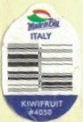 Made in blue italy kiwifruit #4030