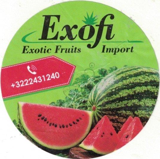 Exofi exotic fruits import