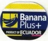 Banana plus product of ecuador