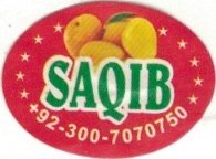 Saqib