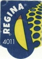 Regina 4011