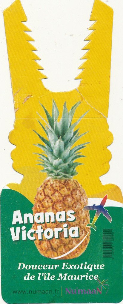 ananas victoria douceur exotique de l'île maurice www.numaan.fr | numaan