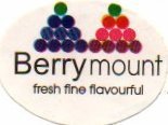 berry mount fresh fine flavourful