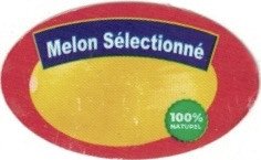 melon sélectionné 100% naturel