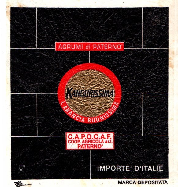 Kangurissima agrumi di paterno l arancia buonissima c.a.p.o.a.f. coop agricola paterno importe d italie