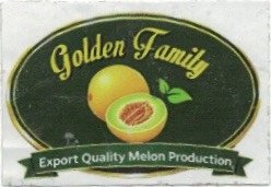 golden family export quality melon production