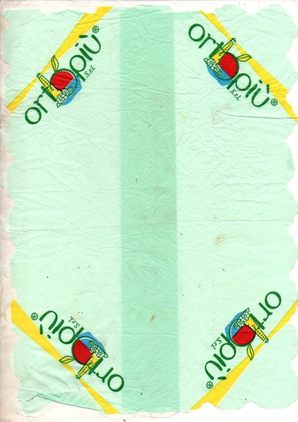 ortopiu s.r.l.