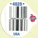 Washington 4020 usa