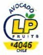 lp fruits avocado #4046 chile