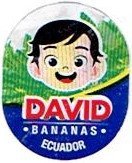 david bananas ecuador