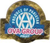 ova group fruit produce of pakistan