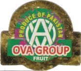 ova group fruit produce of pakistan