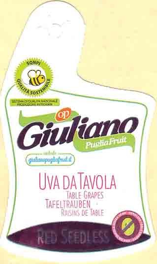 giuliano puglia fruit uva da tavola red seedless