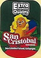 san cristóbal bananas extra quality premium san cristóbal island, galápagos
