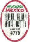 avocados from mexico emp 330 4770
