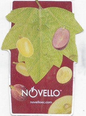 novello novelloec.com n°29 grappes for passion rooted in sicily