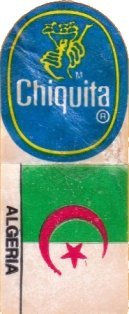 chiquita algeria