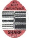 Sharp Fruit aus 4037 yellow peach